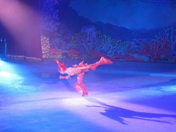 Show trượt băng (Ice skating) 'Frozen In Time' 9